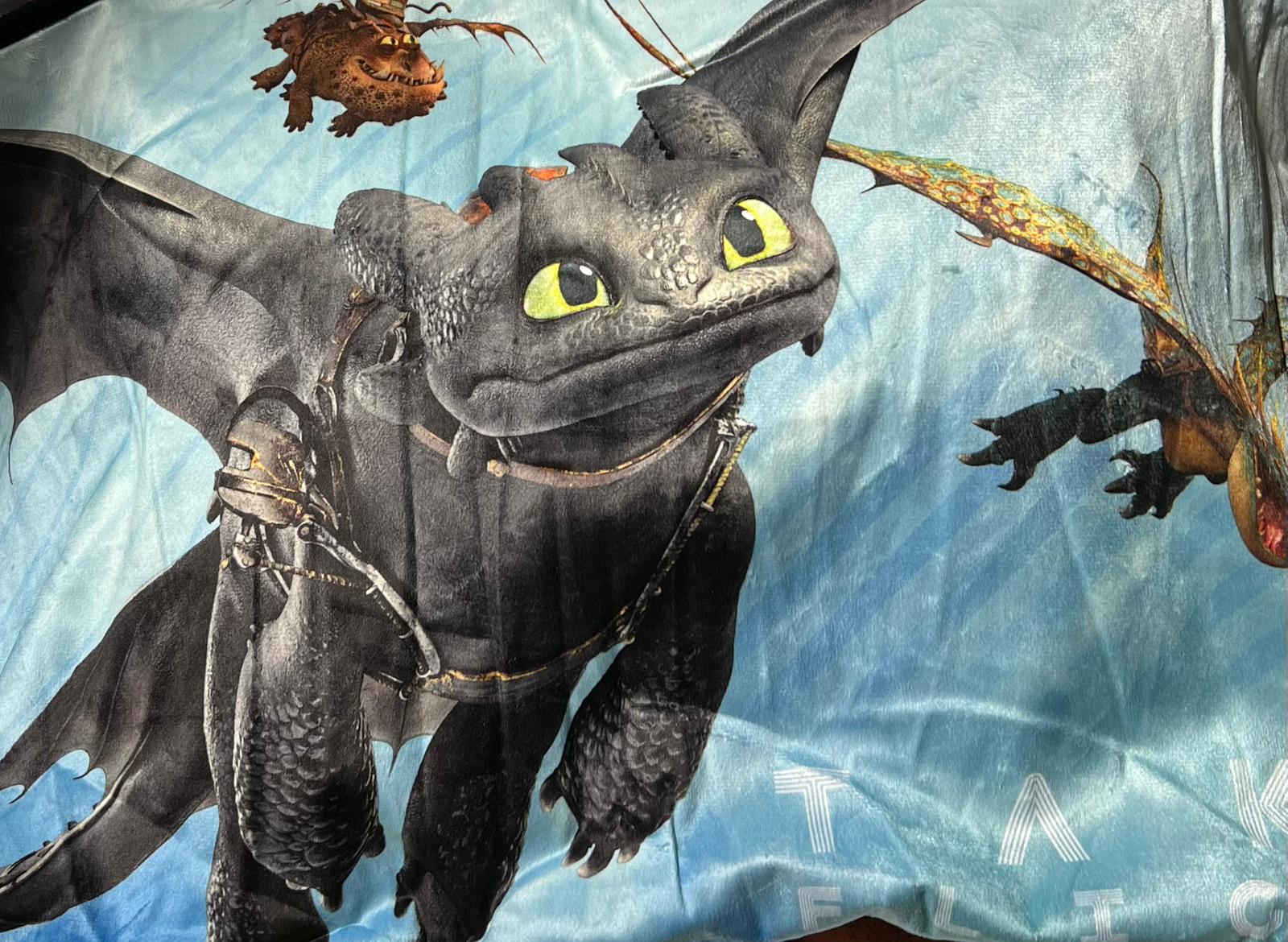 How To Train Your Dragon The Hidden World Pillow 18 in x 36 in - Bellso